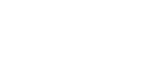 haarslev logo