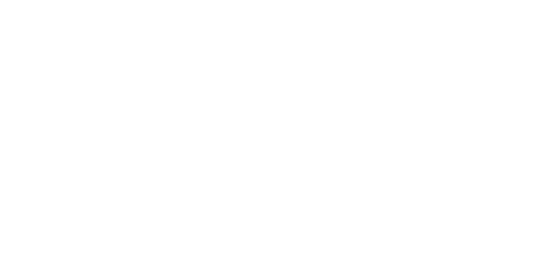 viliam petersen logo