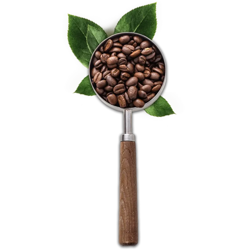 Portafilter med kaffebønner og blade